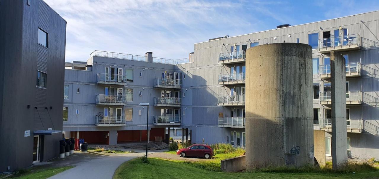 Northern Dreams Apartment With Free Parking Тромсё Экстерьер фото